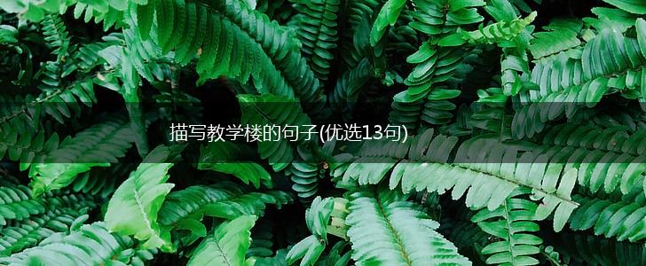 描写教学楼的句子(优选13句),第1张