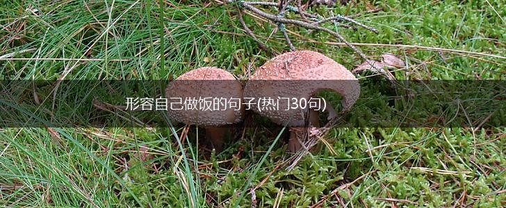 形容自己做饭的句子(热门30句),第1张