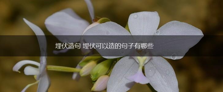 埋伏造句 埋伏可以造的句子有哪些,第1张