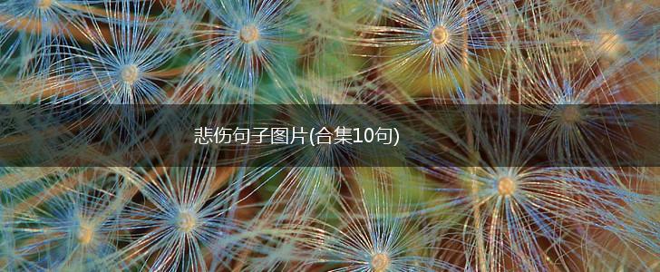 悲伤句子图片(合集10句),第1张