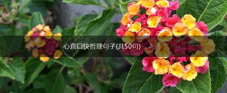 心直口快哲理句子(共50句),第1张