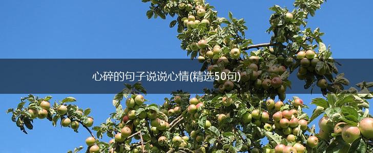 心碎的句子说说心情(精选50句),第1张