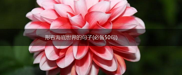 形容海底世界的句子(必备50句),第1张