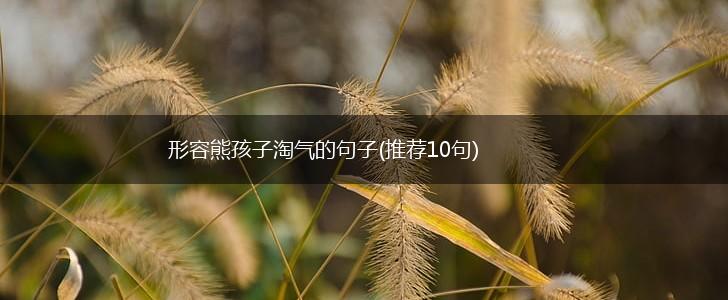 形容熊孩子淘气的句子(推荐10句),第1张