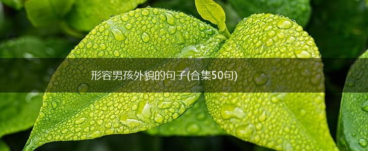 形容男孩外貌的句子(合集50句),第1张