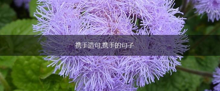 携手造句,携手的句子,第1张