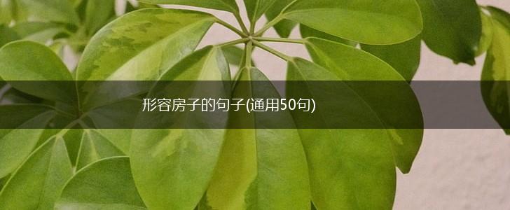 形容房子的句子(通用50句),第1张