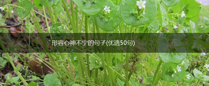 形容心神不宁的句子(优选50句),第1张