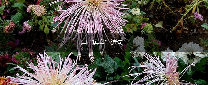 用“興奮”造句,第1张