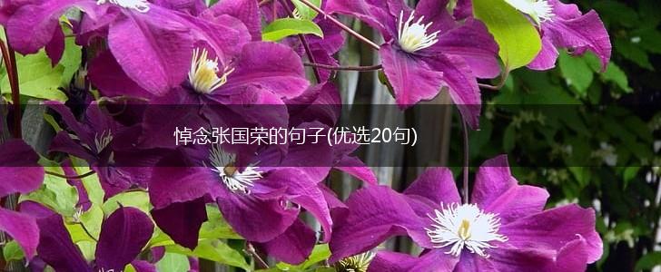 悼念张国荣的句子(优选20句),第1张