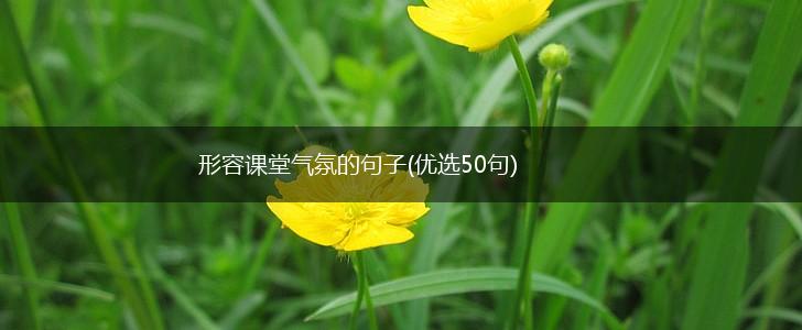 形容课堂气氛的句子(优选50句),第1张