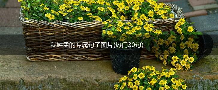 我姓孟的专属句子图片(热门30句),第1张