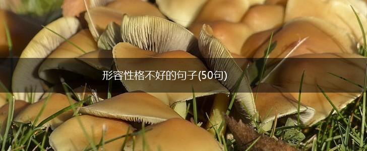 形容性格不好的句子(50句),第1张