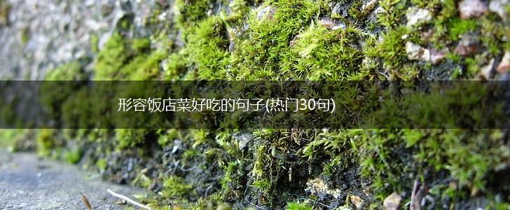 形容饭店菜好吃的句子(热门30句),第1张