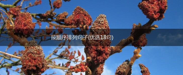 按顺序排列句子(优选18句),第1张