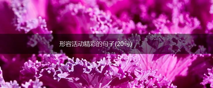 形容活动精彩的句子(20句),第1张
