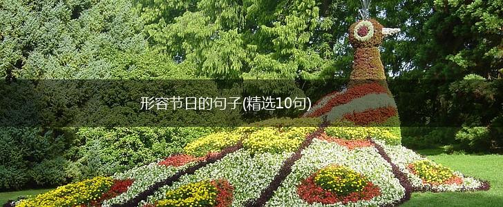 形容节日的句子(精选10句),第1张