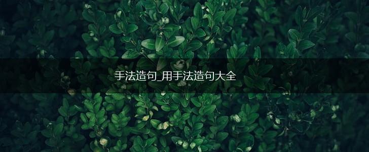 手法造句_用手法造句大全,第1张