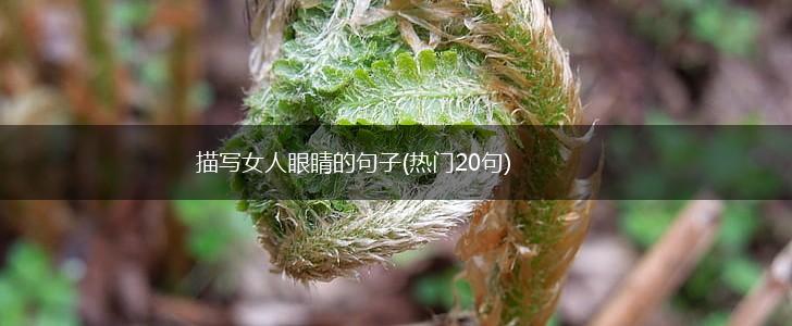 描写女人眼睛的句子(热门20句),第1张