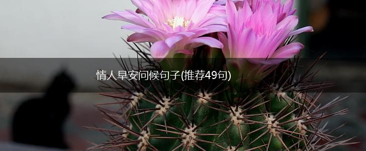 情人早安问候句子(推荐49句),第1张