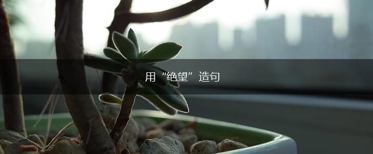 用“绝望”造句,第1张