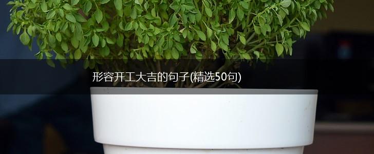 形容开工大吉的句子(精选50句),第1张