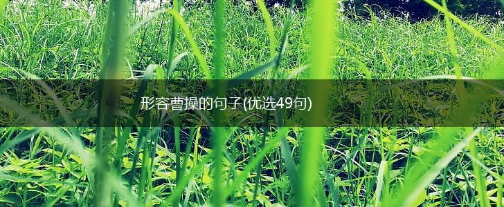 形容曹操的句子(优选49句),第1张
