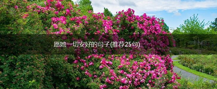 愿她一切安好的句子(推荐25句),第1张