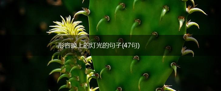 形容晚上的灯光的句子(47句),第1张