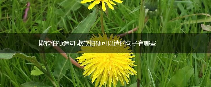 欺软怕硬造句 欺软怕硬可以造的句子有哪些,第1张