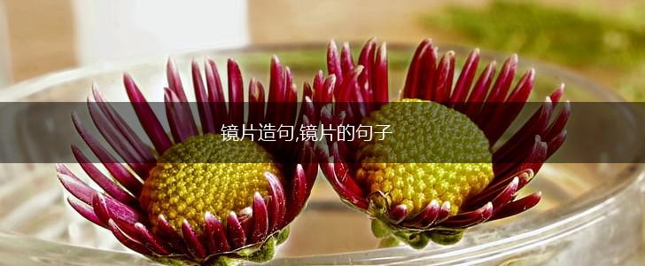 镜片造句,镜片的句子,第1张