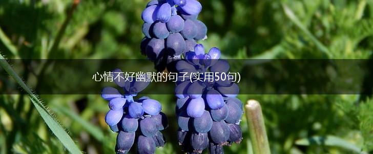 心情不好幽默的句子(实用50句),第1张