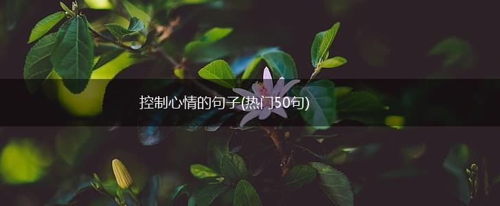 控制心情的句子(热门50句),第1张