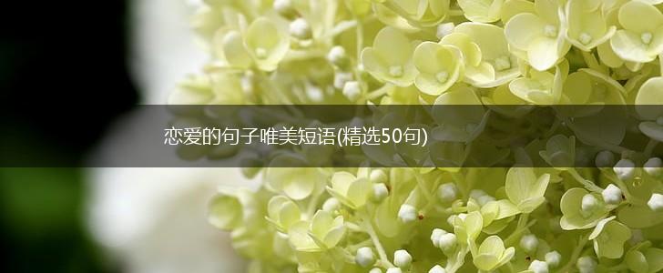 恋爱的句子唯美短语(精选50句),第1张