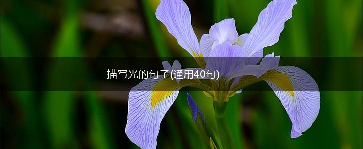 描写光的句子(通用40句),第1张
