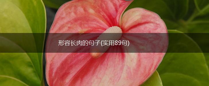 形容长肉的句子(实用89句),第1张