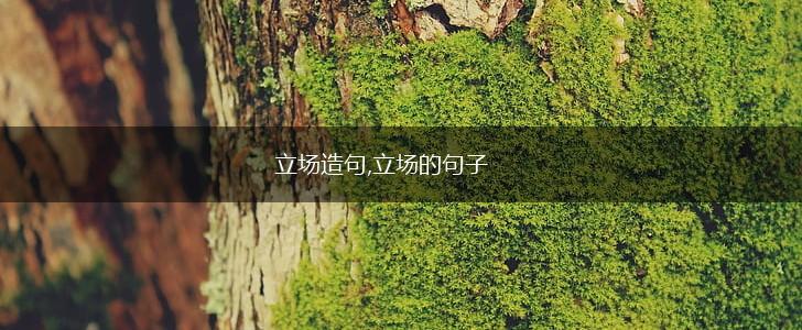立场造句,立场的句子,第1张
