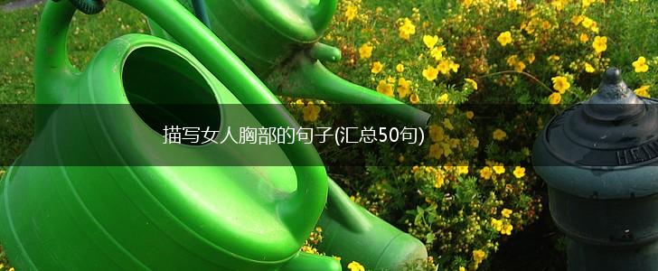 描写女人胸部的句子(汇总50句),第1张
