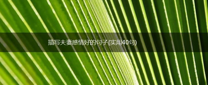 描写夫妻感情好的句子(实用40句),第1张