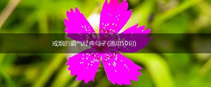 戒烟的霸气经典句子(通用50句),第1张