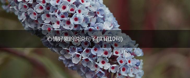 心情好累的说说句子(实用10句),第1张