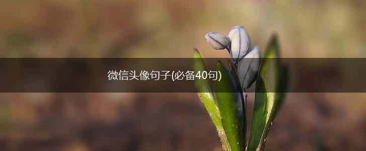 微信头像句子(必备40句),第1张
