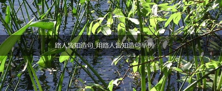 路人皆知造句_用路人皆知造句举例,第1张