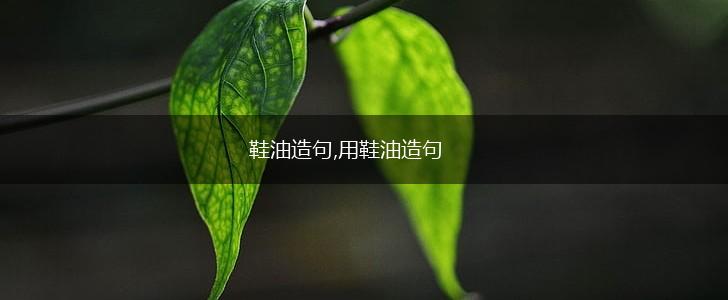 鞋油造句,用鞋油造句,第1张
