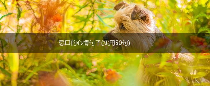 忌口的心情句子(实用50句),第1张