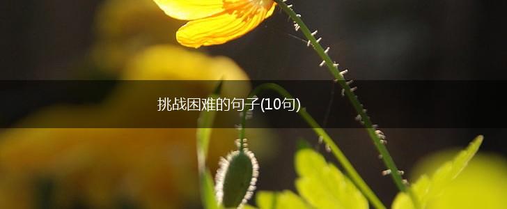 挑战困难的句子(10句),第1张