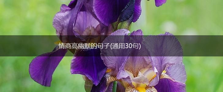 情商高幽默的句子(通用30句),第1张