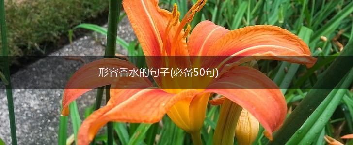 形容香水的句子(必备50句),第1张