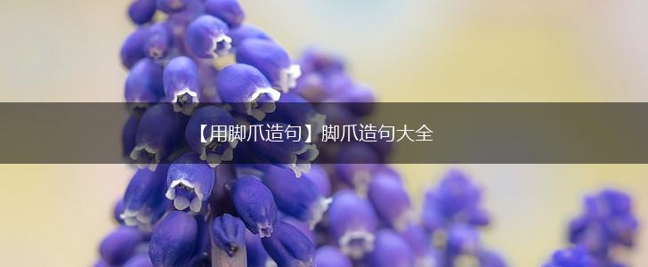 【用脚爪造句】脚爪造句大全,第1张