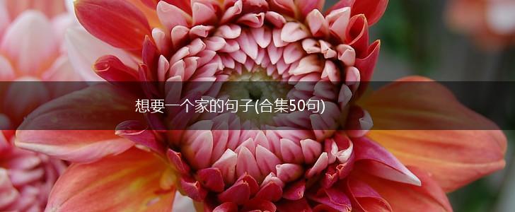 想要一个家的句子(合集50句),第1张